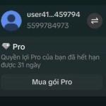 Capcut Pro Tháng - Tài Khoản Tạo Sẵn