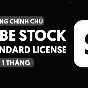 Adobe Stock 750 Standard License 1 Tháng