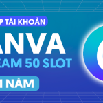 Canva Pro Team (50 Slot): Thiết kế chuyên nghiệp cho đội nhóm