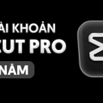 Capcut Pro 1 Năm - Tài Khoản Dùng Chung Giá Rẻ