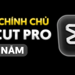 Capcut Pro 1 Năm - Nâng Cấp Chính Chủ