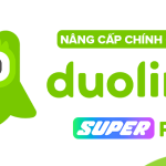 Duolingo Super Family - Học Ngoại Ngữ Cùng Nhau, Vui Hơn Mỗi Ngày