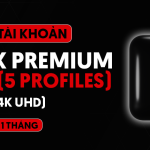 Netflix Premium Family 5 Slot: Trải nghiệm xem phim đỉnh cao