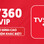 TV360 VIP - Tận hưởng thế giới giải trí đỉnh cao, không giới hạn