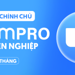 Zoom Pro 1 Tháng - Giải pháp hội họp trực tuyến chuyên nghiệp, hiệu quả cho doanh nghiệp